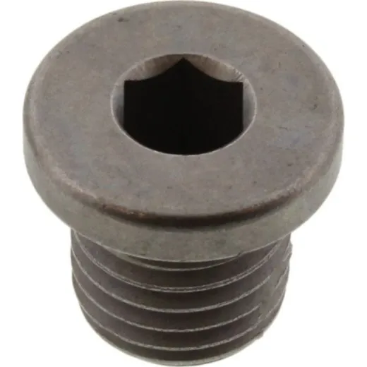 Screw lock (orig spare part)