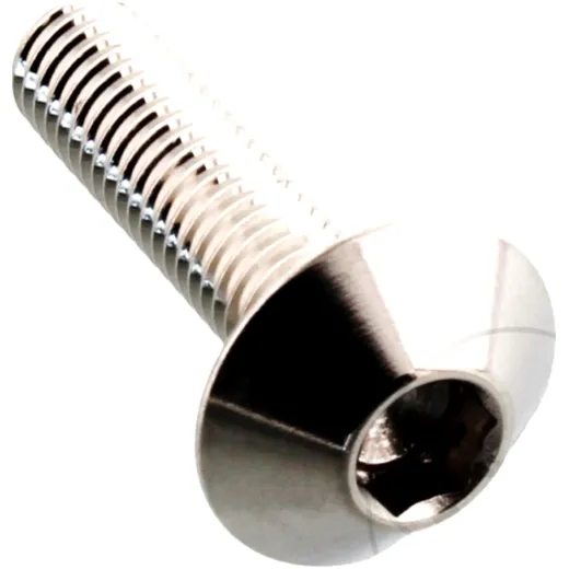 Dome Head Bolt M5X0.8MM 20MM Stainless Steel for Motorcycles
