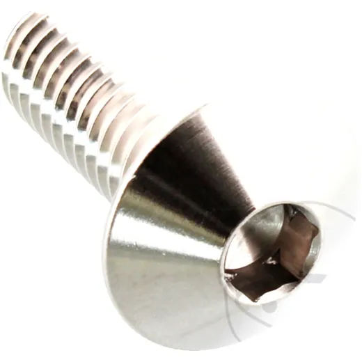 Linsenschraube M8X1.25 mm 20 mm Edelstahl V4A