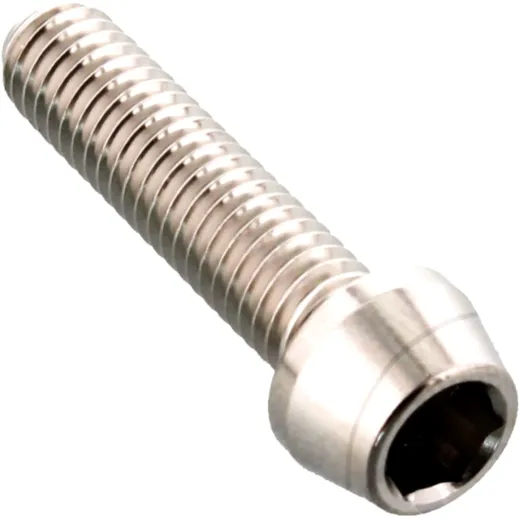 Innensechskantschraube M6X1MM 25MM Edelstahl V4A