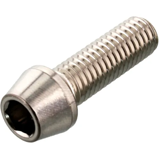 Cone Head Bolt M8X1.25MM 25MM Stainless Steel A4