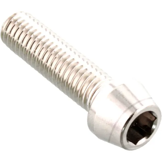 Cone Head Bolt M8X1.25MM 30MM Stainless Steel A4