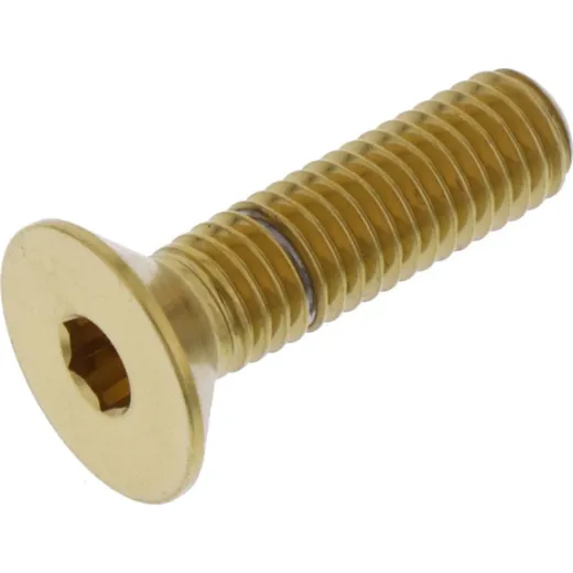 Senkschraube LSSCS830G