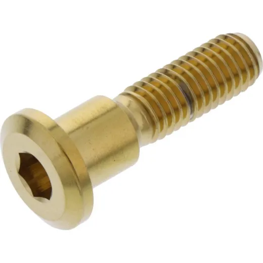Brake disc screw jmp LSSDISCGSXRG
