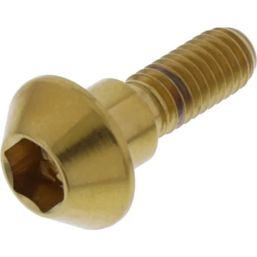 Brake disc screw jmp LSSDISCR1R6G