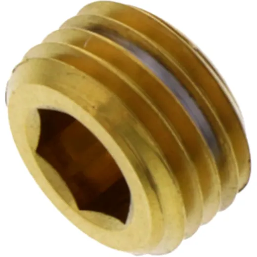 Stopfen Gleitstift Edelstahl V4A gold passend für: Kawasaki Z, KX, KLX