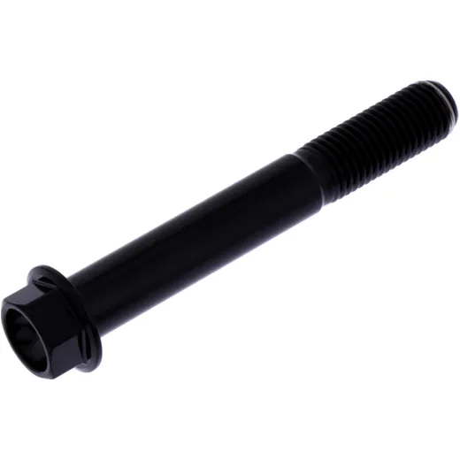 Schraube 6 Kant M10 x 1. 25 mm 70 mm Edelstahl V4A schwarz passend für: Kawasaki Z, ZX - 10R, Ninja
