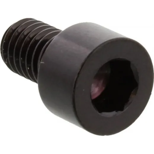 Zylinderschraube LSSPB610BK_1