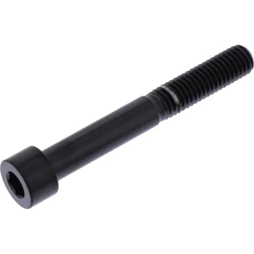 Hex socket cap screw jmp LSSPB860BK