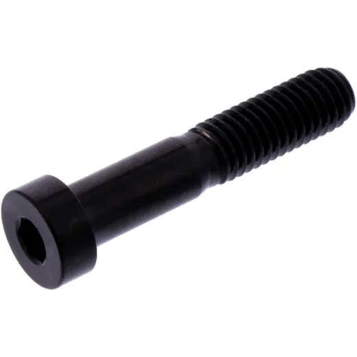 Zylinderschraube M8X1. 25 mm 40 mm Edelstahl V4A schwarz passend für: Ducati Monster, 916, 748