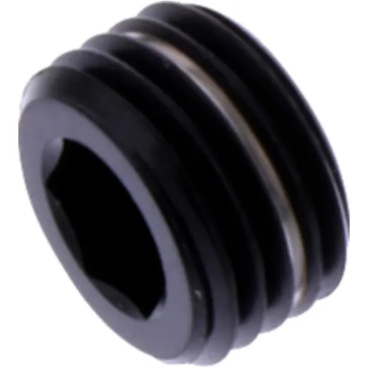 Plug caliper pin M10X1mm titan black for: Kawasaki Z, KX, KLX, Honda CB, CBR, CRF