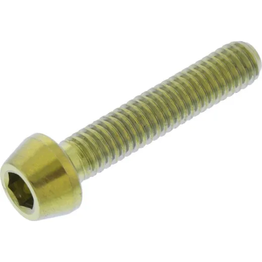 Schraube konisch TISC420G