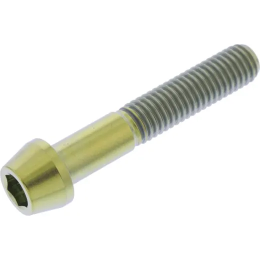 Schraube konisch TISC845G