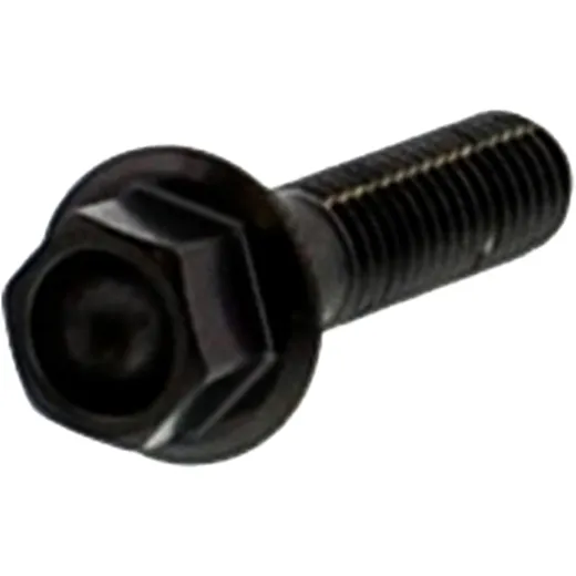 HEX BOLT M6X1.00 25MM STAINLESS A4 BLACK