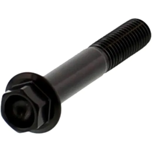 Stainless Steel Hex Bolt M8X1.25 50MM Black