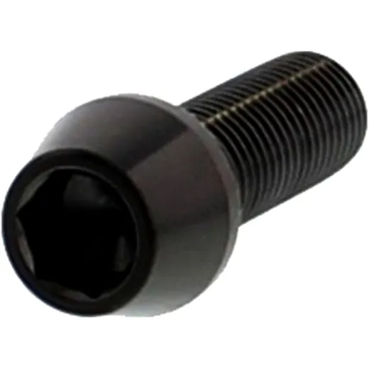 M10 x 1.25 mm 30 mm Schwarze Edelstahlschraube V4A