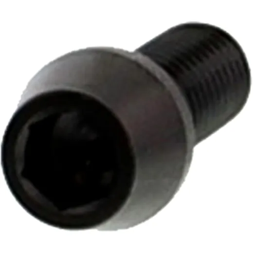 Cone Head Bolt M8X1.25mm 20mm Stainless Steel A4 Black