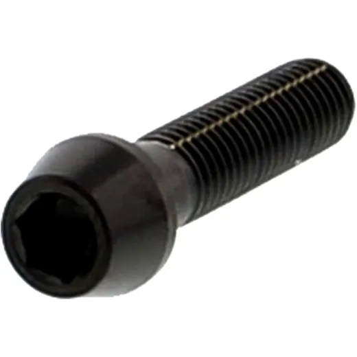 Cone Head Bolt M8X1.25MM 30MM Stainless Steel A4 Black