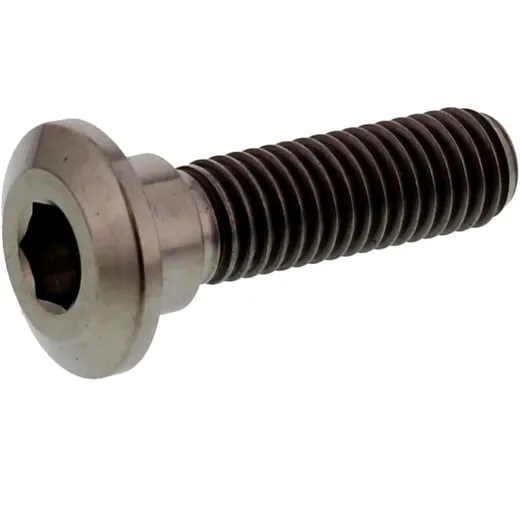 Schraube Bremsscheibe JMP Bolt M8X1. 25 mm 30 mm Titan passend für: Kawasaki Z, VN, ZZR