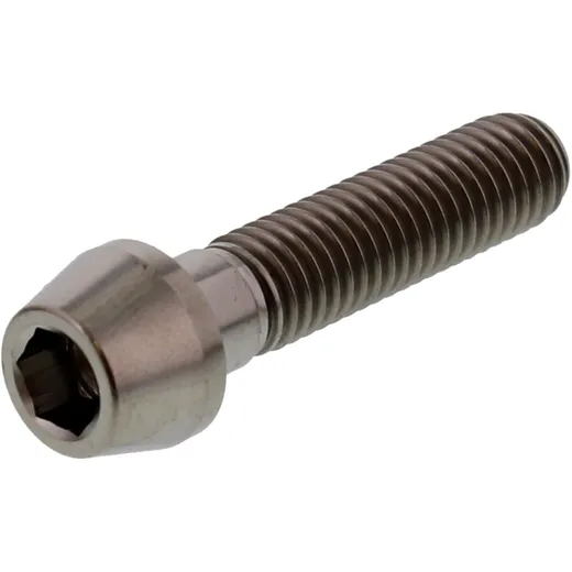 ZYLINDERSCHRAUBE M8X1.25 35MM TITAN