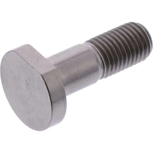 Screw sprocket