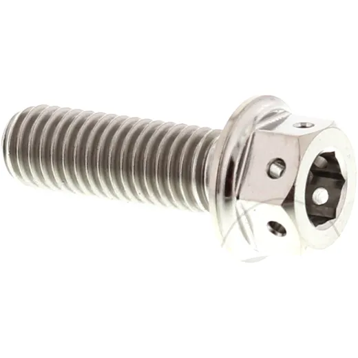 Dualdrive bolt M8X1. 25 25mm titanium for: Aprilia Mojito, Scarabeo, Leonardo