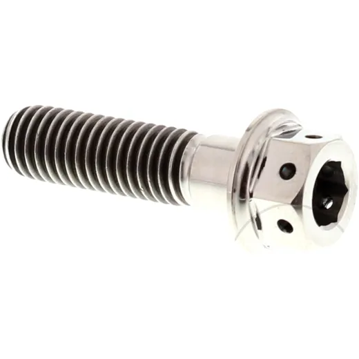 Dualdrive bolt M8X1. 25 30mm titanium for: Aprilia SR, Scarabeo, RS, Moto Guzzi V7, V9, V85