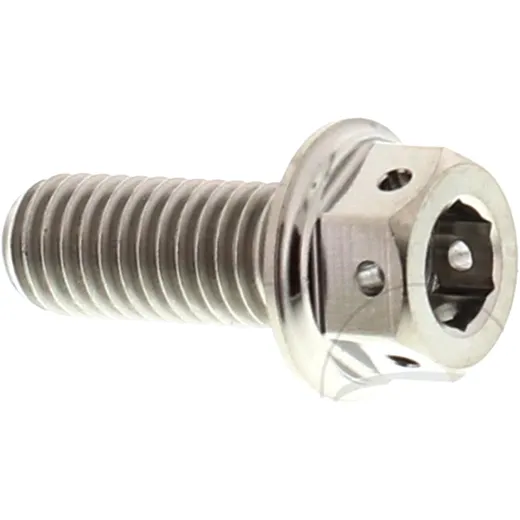 Schraube Dualdrive JMP Bolt M8X1. 25 mm 20 mm Titan passend für: Aprilia Shiver, Dorsoduro, Tuono