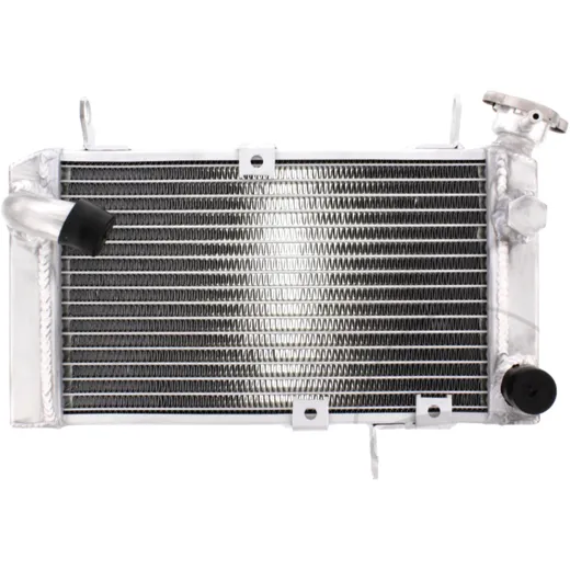 Wasserkühler für Muskelmotorräder