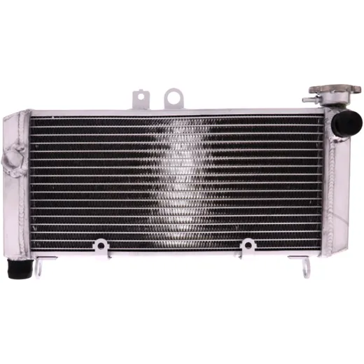 Radiator JMP for: Honda CBF 7760268