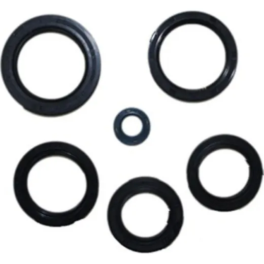Engine oil seal kit P400250400018