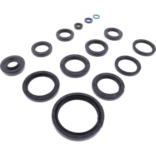 Shaft seal set athena P400250400028