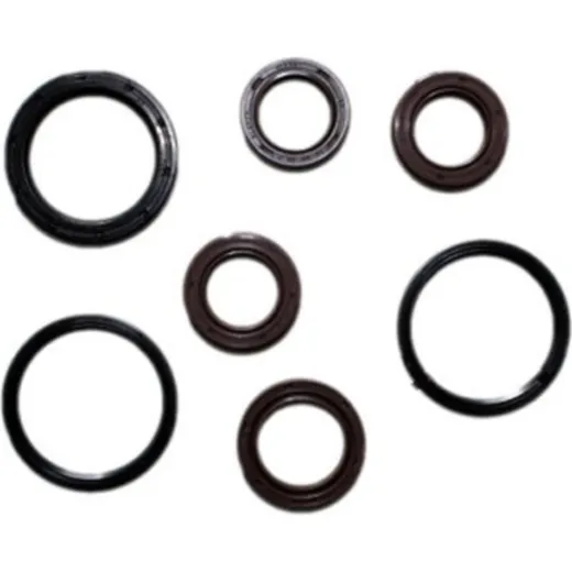 Engine oil seal kit P400480400126