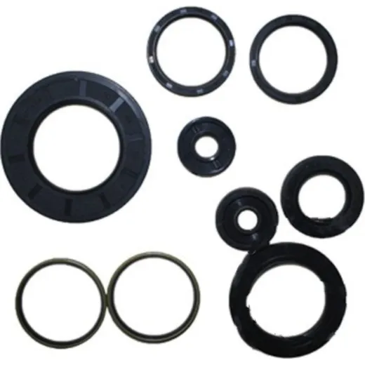 Engine oil seal kit P400485400068