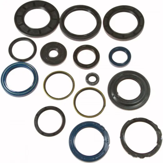 Shaft seal set athena