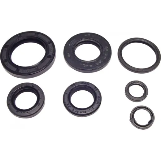 Engine oil seal kit P400210400284