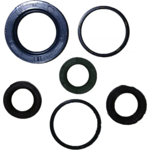 Engine oil seal kit P400480400007