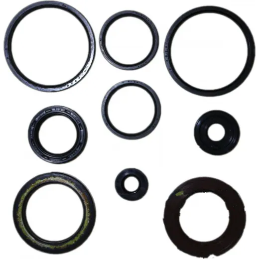 Engine oil seal kit P400510400026