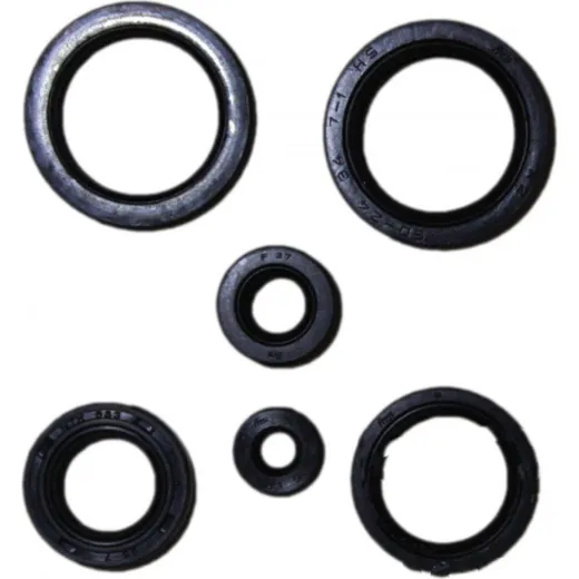 Engine oil seal kit P400210400196