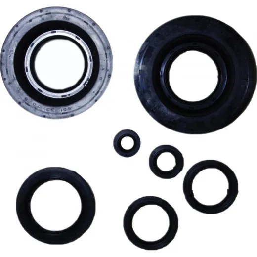 Engine oil seal kit P400210400199
