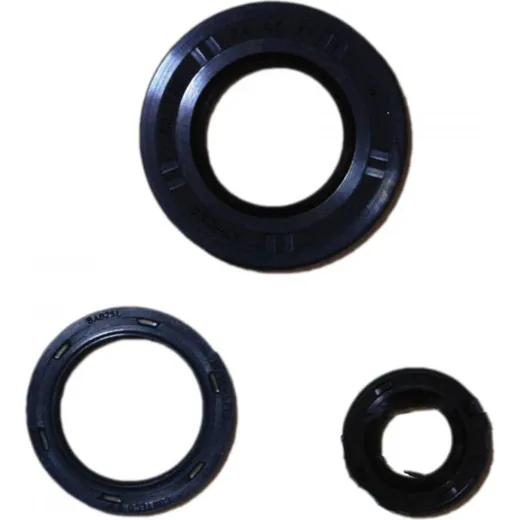 Engine oil seal kit P400250400017