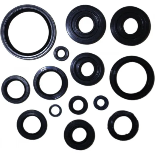Engine oil seal kit P400250400029