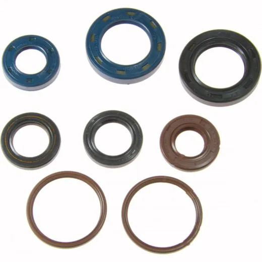 Shaft seal set athena P400210400218