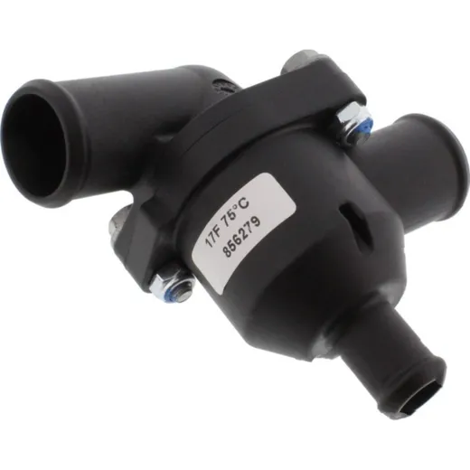 Thermostat (orig spare part) 856279