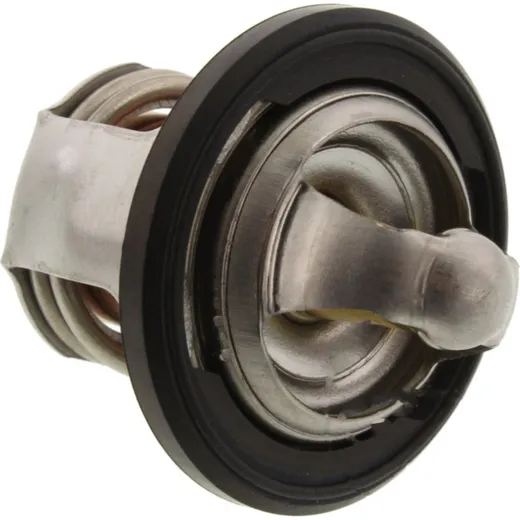 Thermostat (orig spare part) 490541003