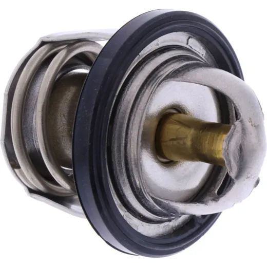 Thermostat (orig spare part) 490541056