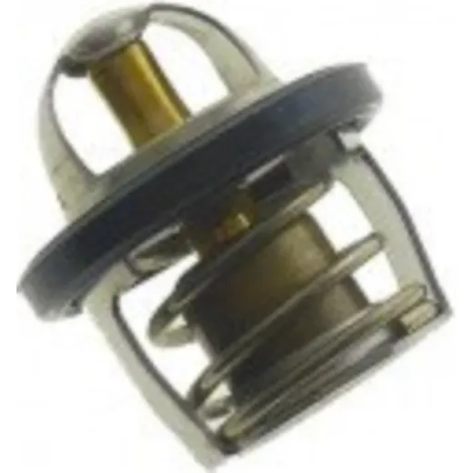 Thermostat (orig spare part) 490541058