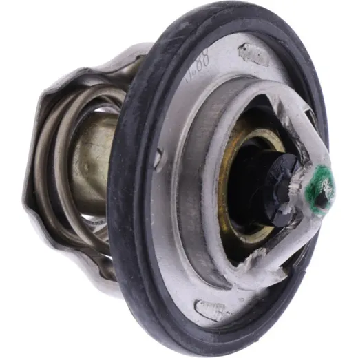 Thermostat (orig spare part) 49054S006