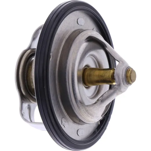 Thermostat (orig spare part) 3GM1241000