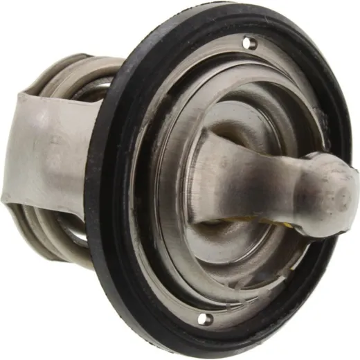 Thermostat (orig spare part) 1SCE241100